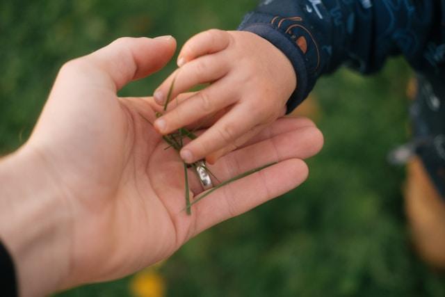 An adult hand gently holding a child's hand, representing support and safety for grieving children