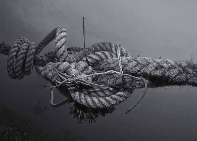 A person sitting alone looking contemplative, representing the weight of guilt carried in grief